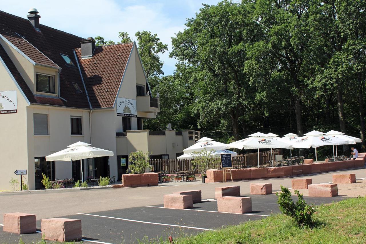 Gite L'Oree Du Chateau - Appartement Potiron オルシュヴィラー エクステリア 写真