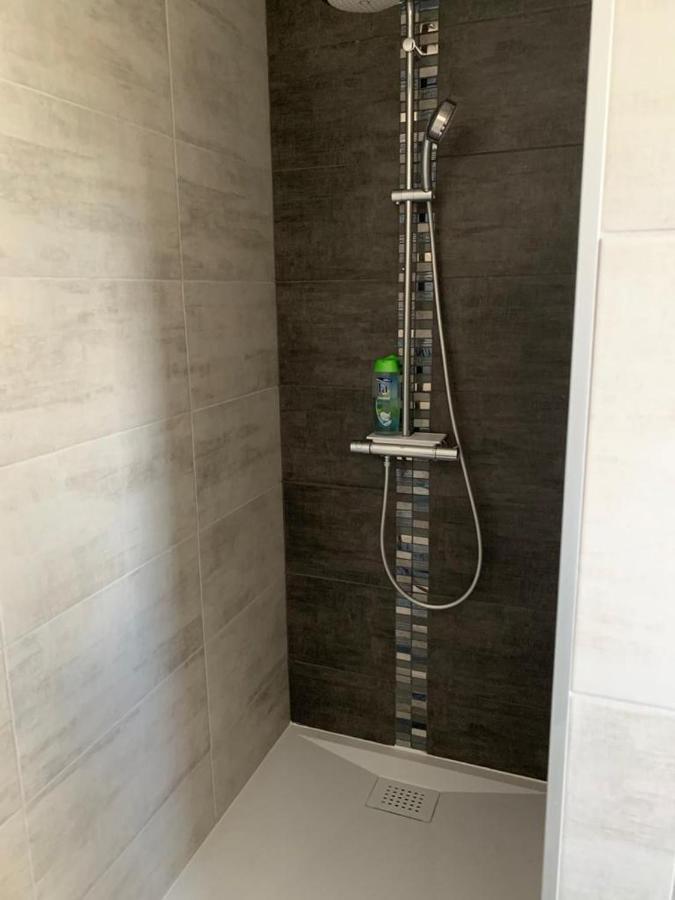 Gite L'Oree Du Chateau - Appartement Potiron オルシュヴィラー エクステリア 写真